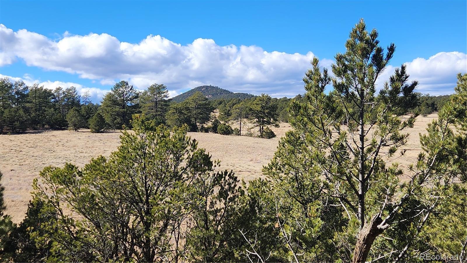 311 Kit Carson Trail Cotopaxi CO 81223