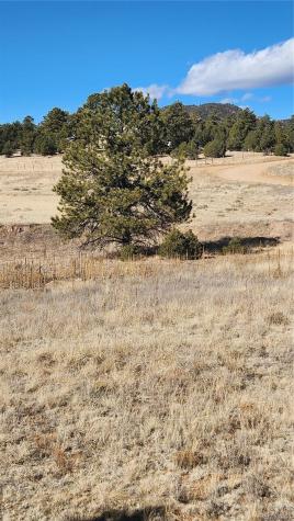 311 Kit Carson Trail Cotopaxi CO 81223
