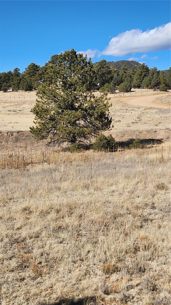 311 Kit Carson Trail Cotopaxi CO 81223