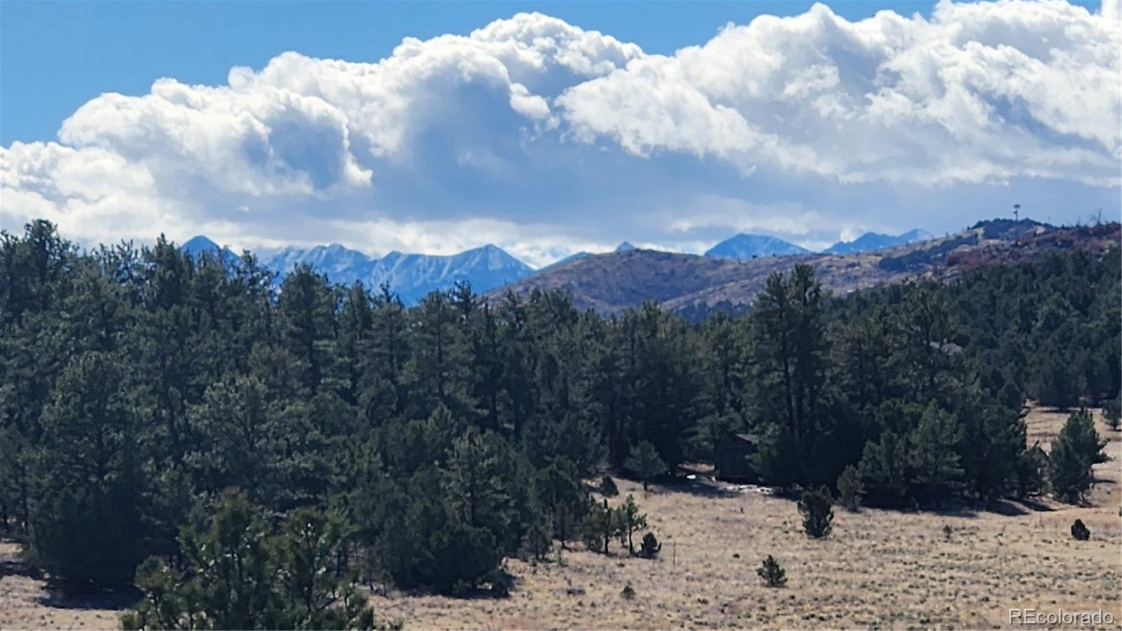 311 Kit Carson Trail Cotopaxi CO 81223