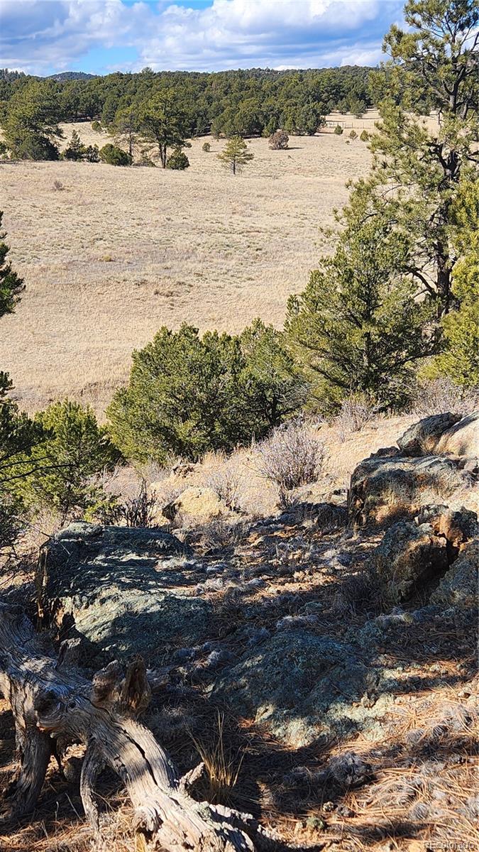 311 Kit Carson Trail Cotopaxi CO 81223