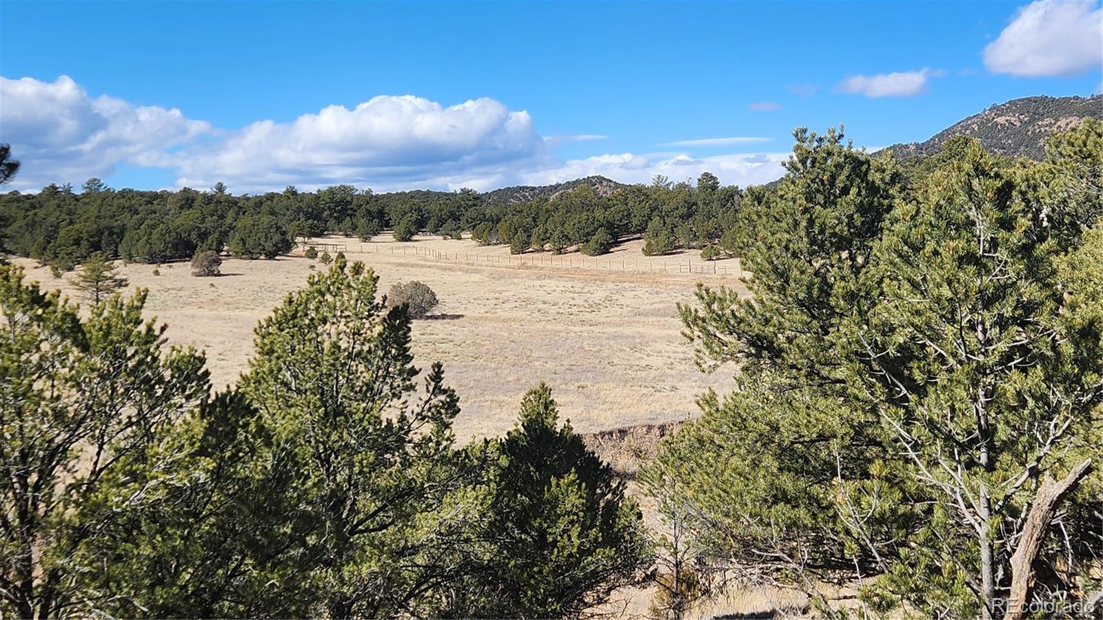 311 Kit Carson Trail Cotopaxi CO 81223