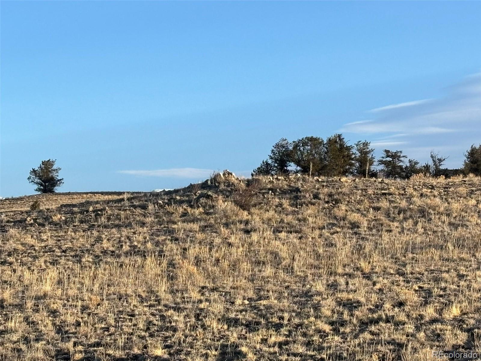 1290 Lippzana Road Como CO 80432