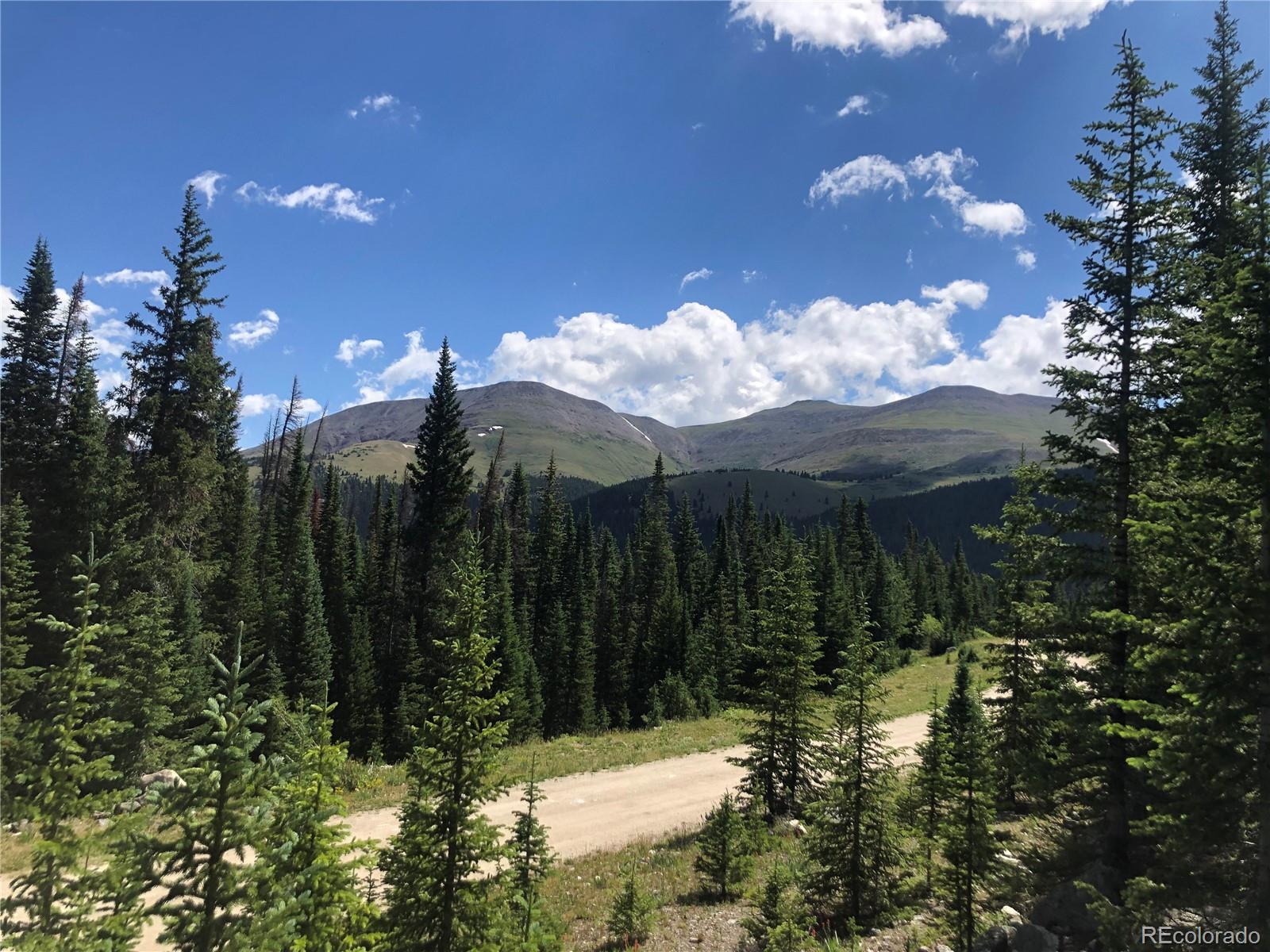321 Cr 805 Breckenridge CO 80424