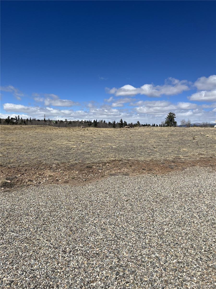12 Loon Lane Como CO 80432