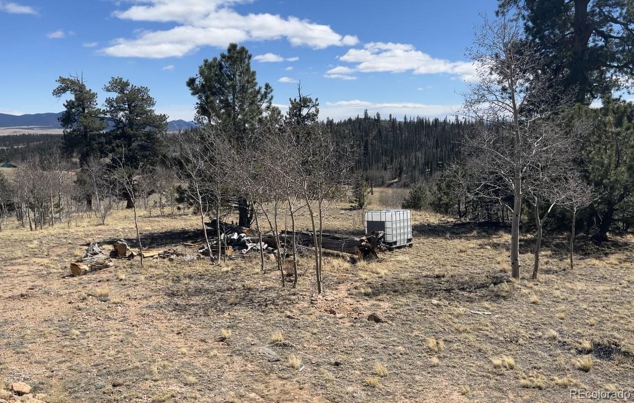 12 Loon Lane Como CO 80432
