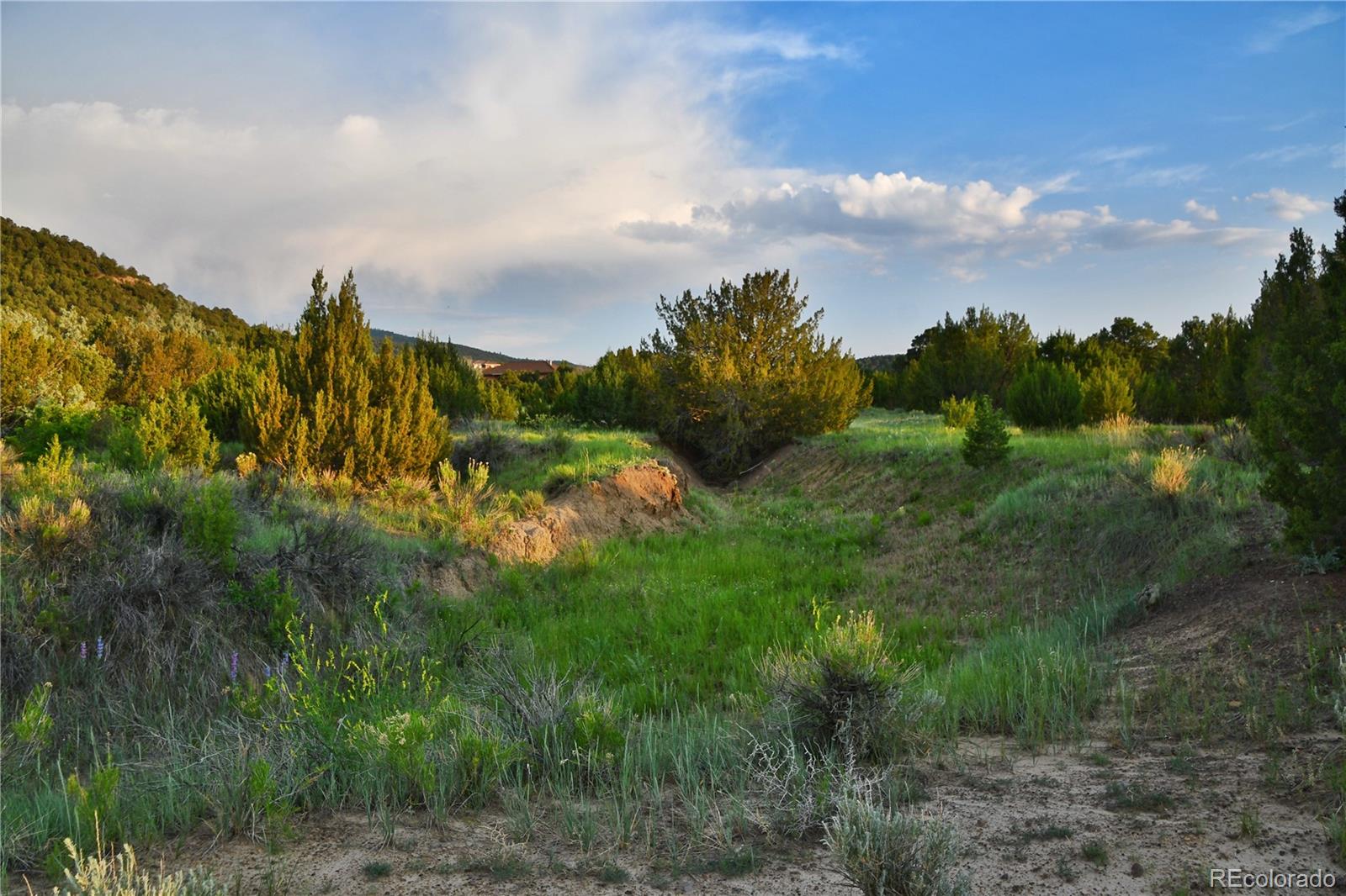 406 Riata Drive Trinidad CO 81082