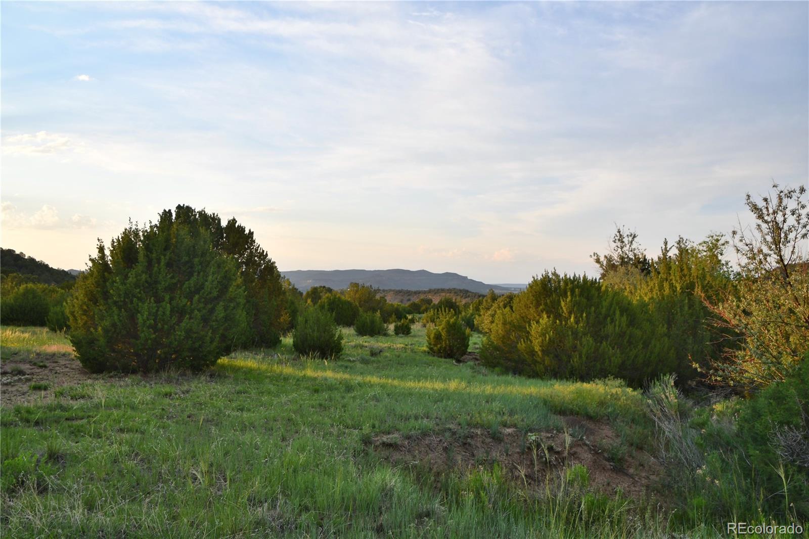 406 Riata Drive Trinidad CO 81082