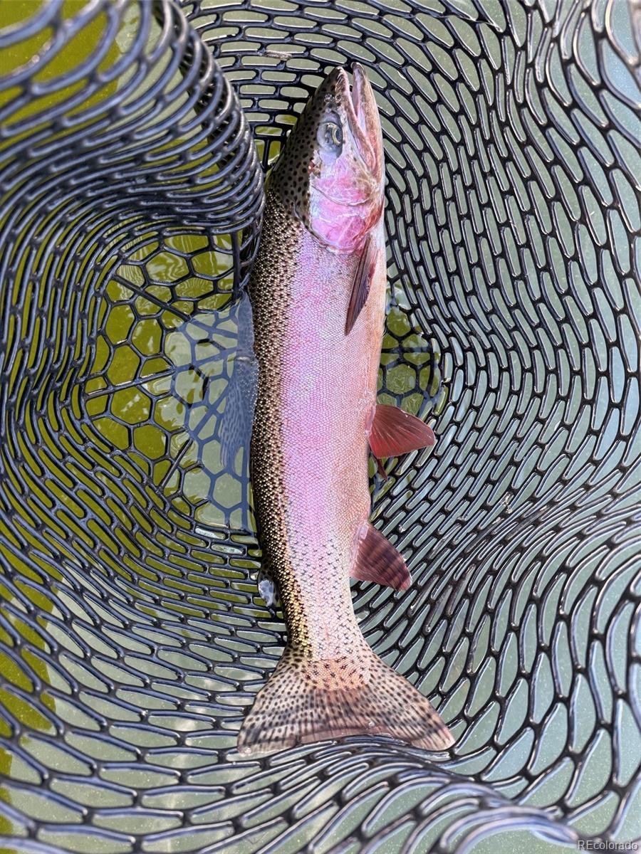 45 Crown Point Place Lake George CO 80827