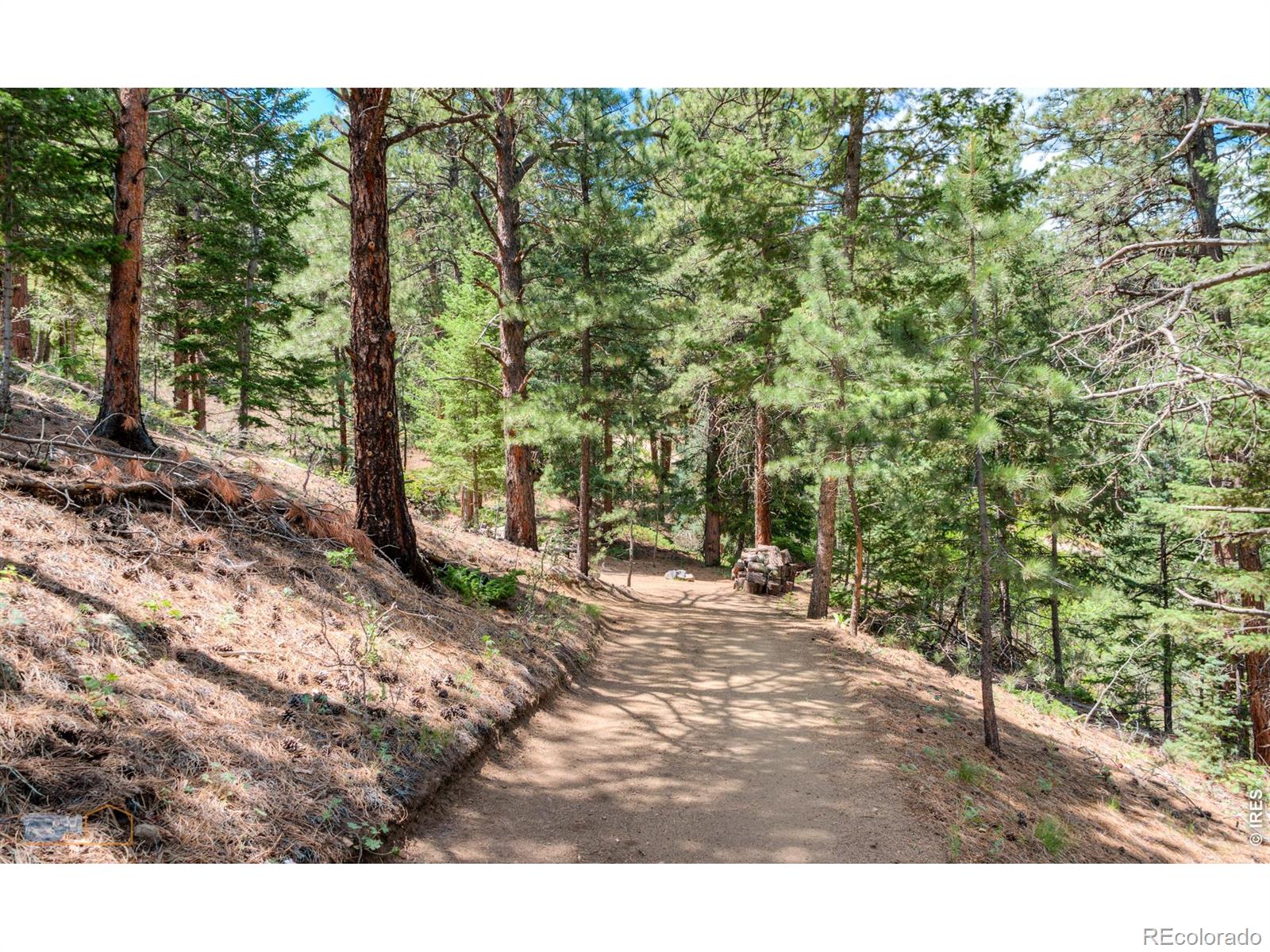 3819 James Canyon Drive Jamestown CO 80455