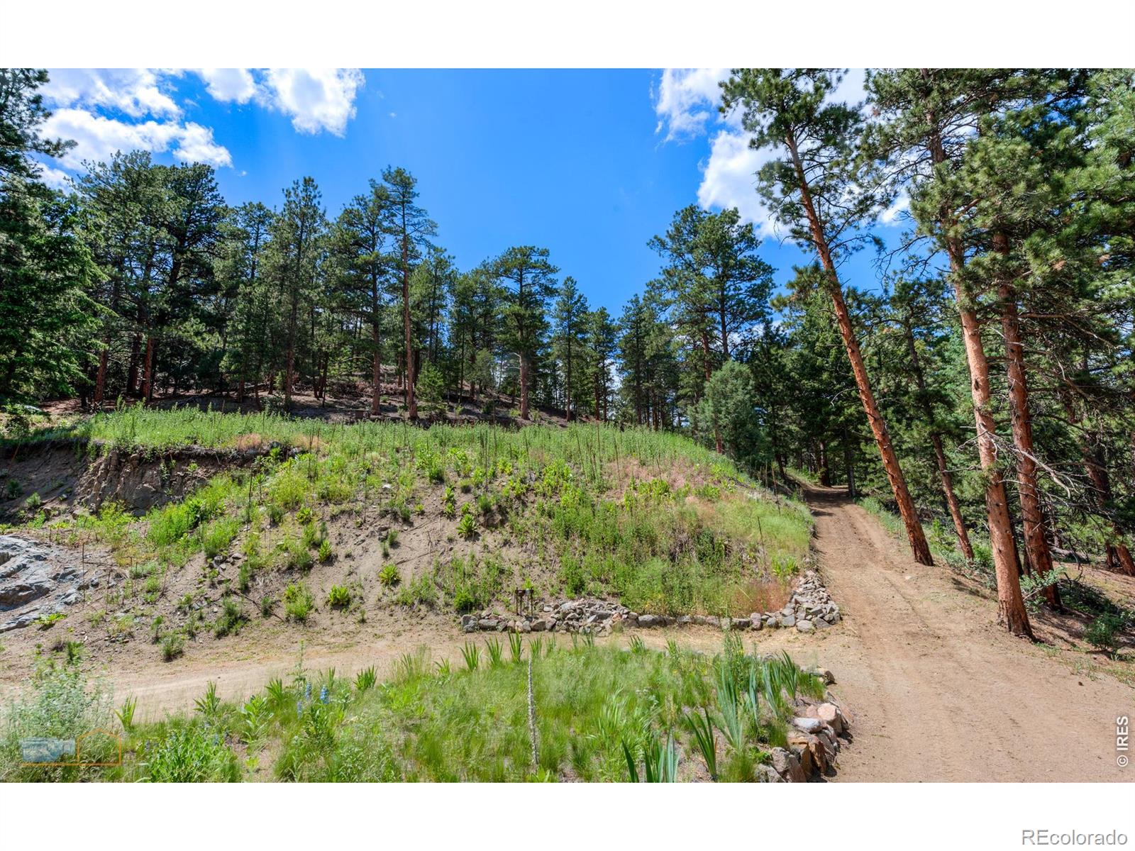 3819 James Canyon Drive Jamestown CO 80455