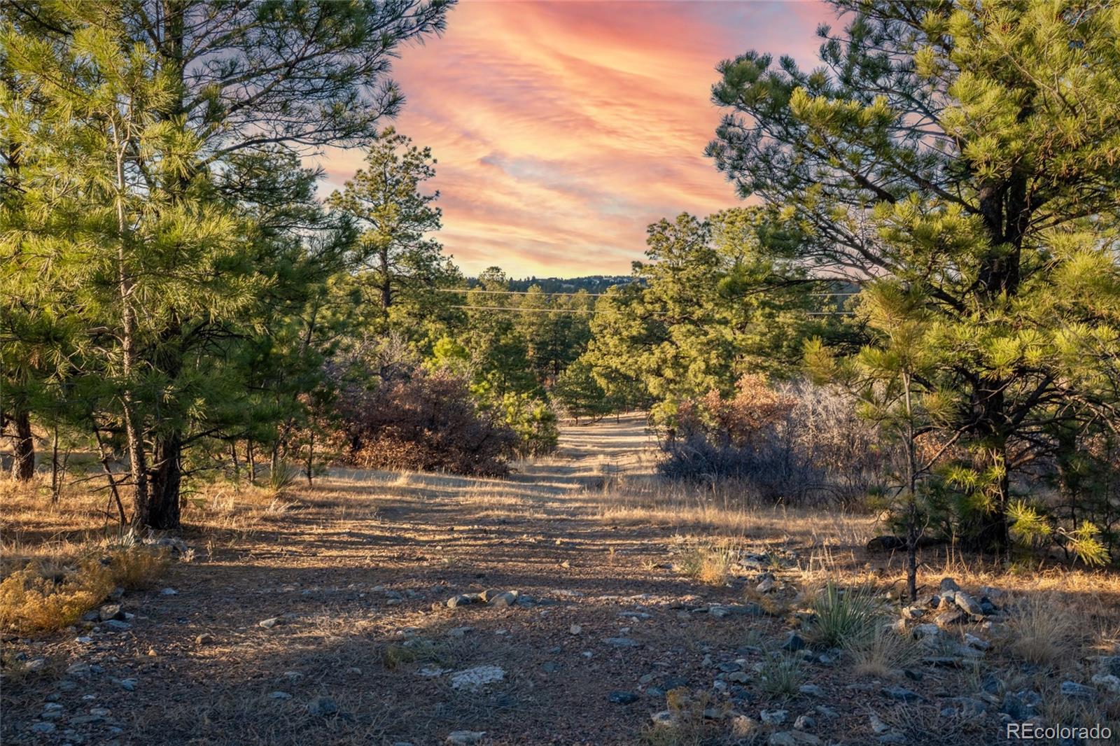10421 Remmick Ridge Road Parker CO 80134