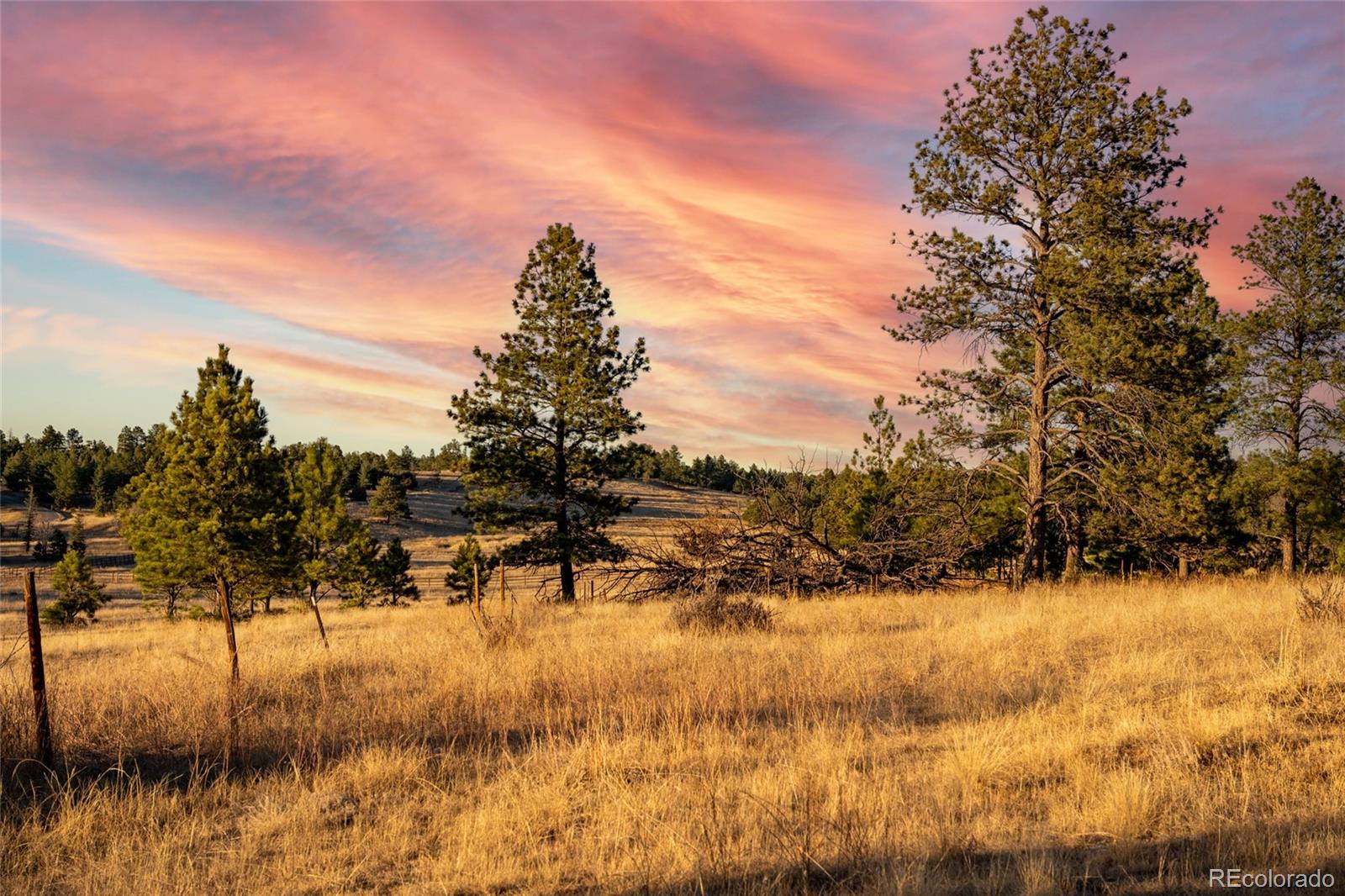 10421 Remmick Ridge Road Parker CO 80134