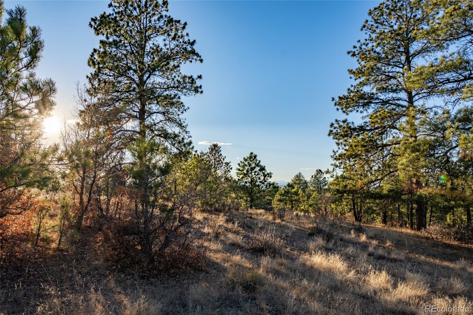 10421 Remmick Ridge Road Parker CO 80134