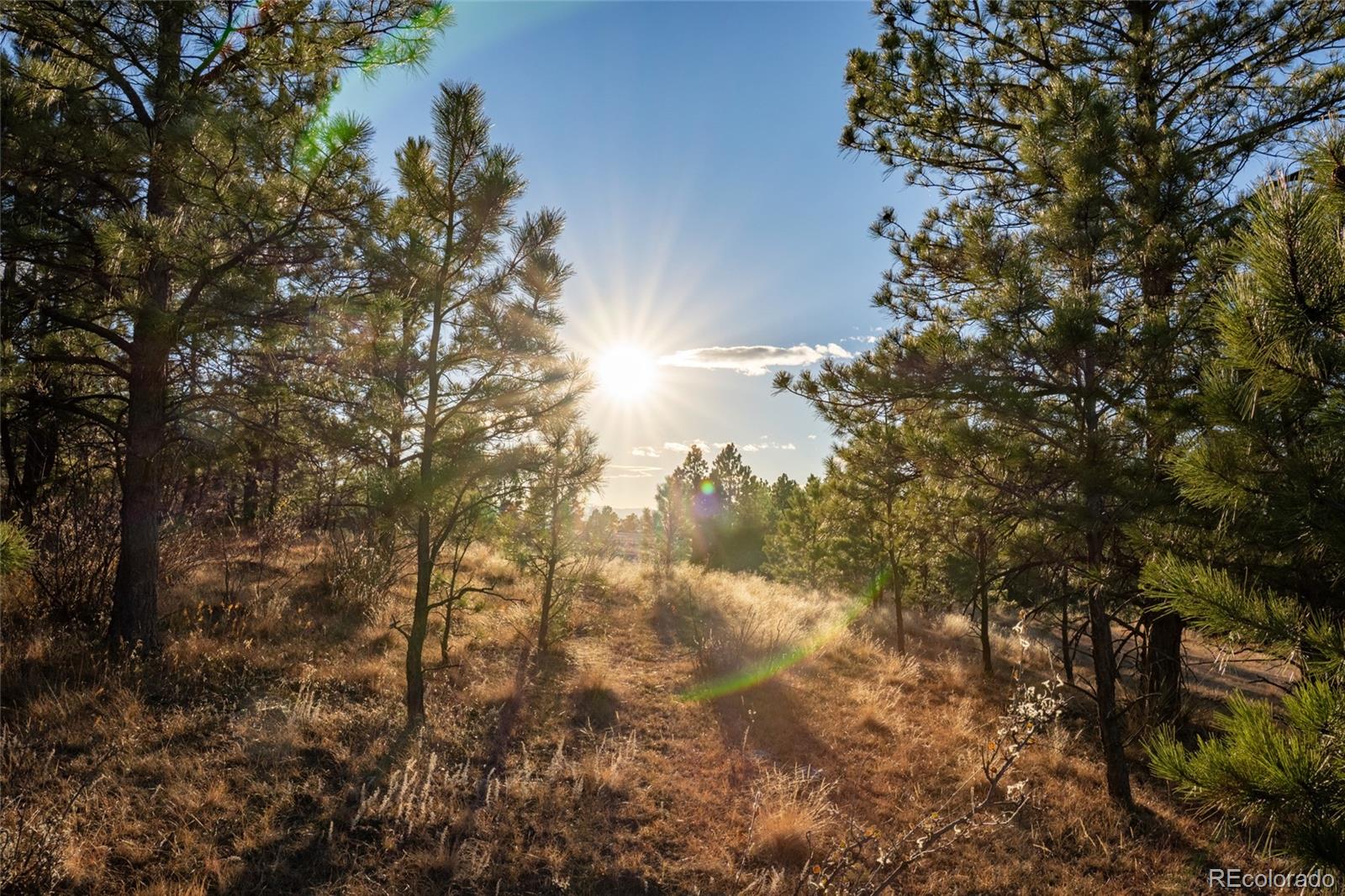 10421 Remmick Ridge Road Parker CO 80134