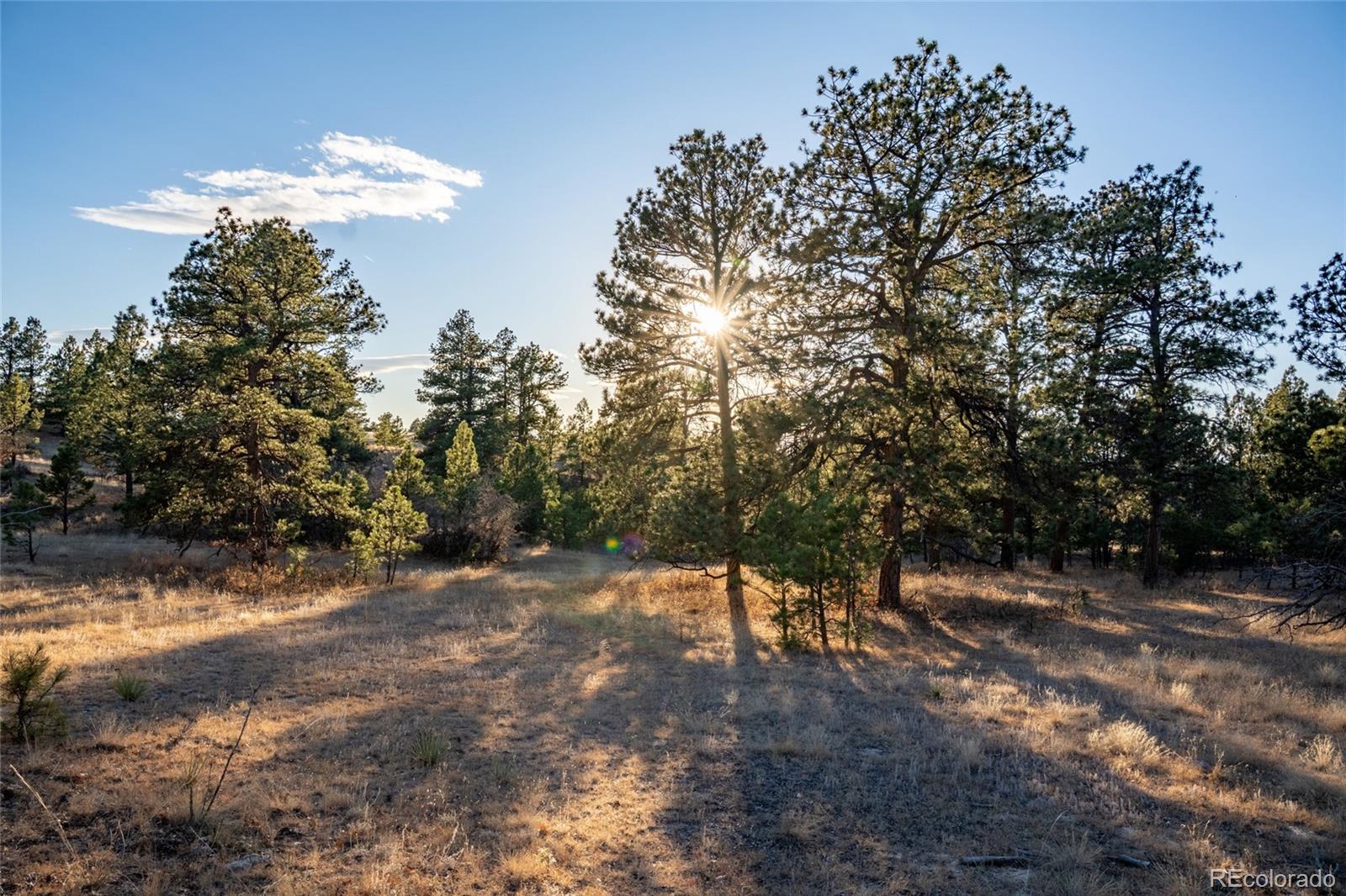 10421 Remmick Ridge Road Parker CO 80134