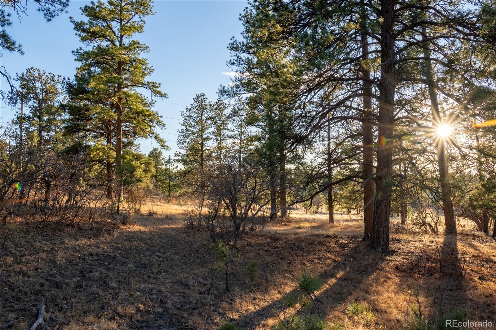10421 Remmick Ridge Road Parker CO 80134