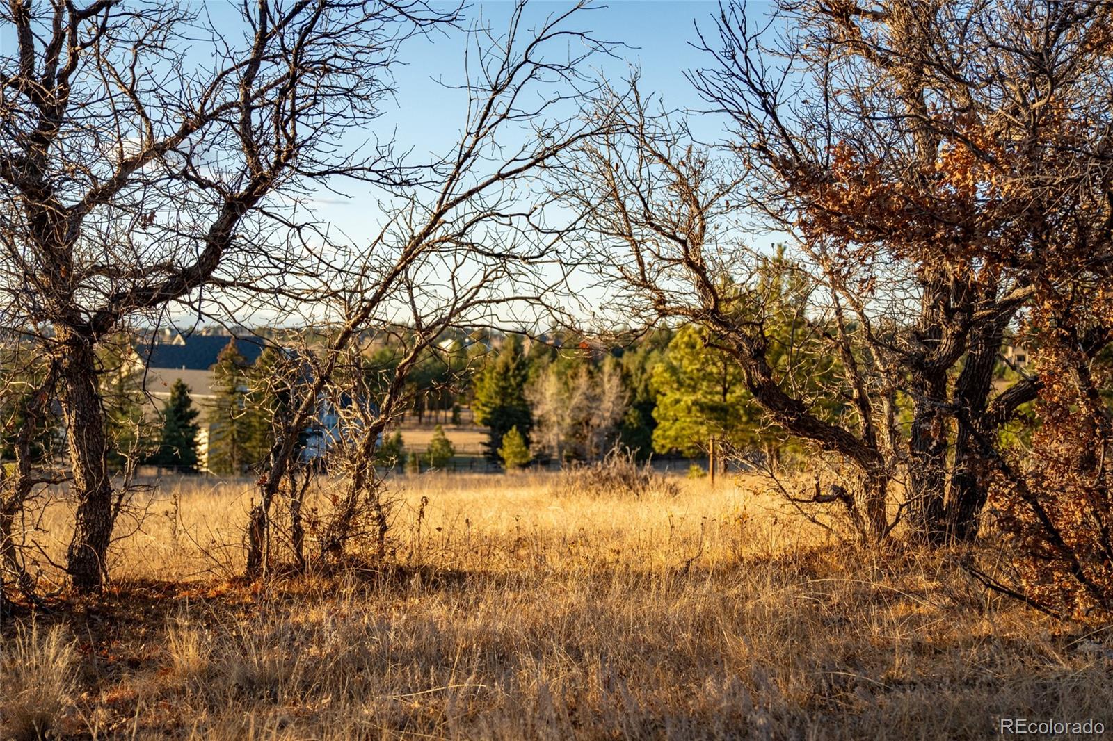 10421 Remmick Ridge Road Parker CO 80134