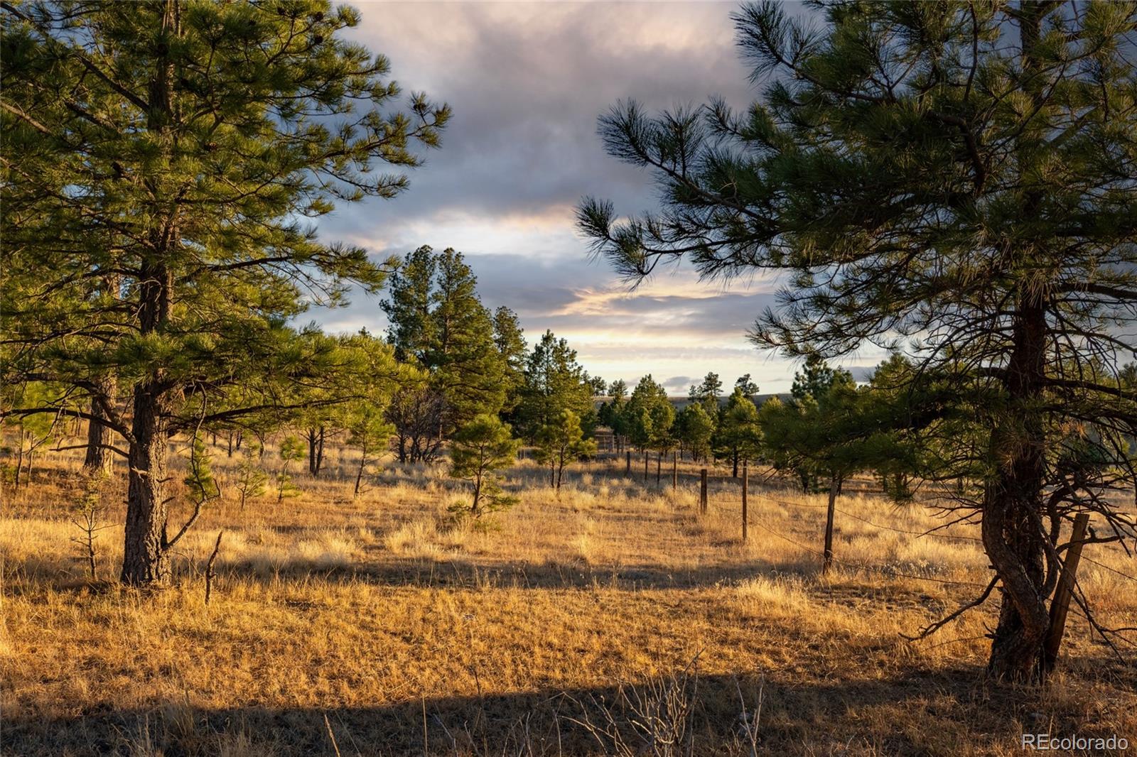 10421 Remmick Ridge Road Parker CO 80134