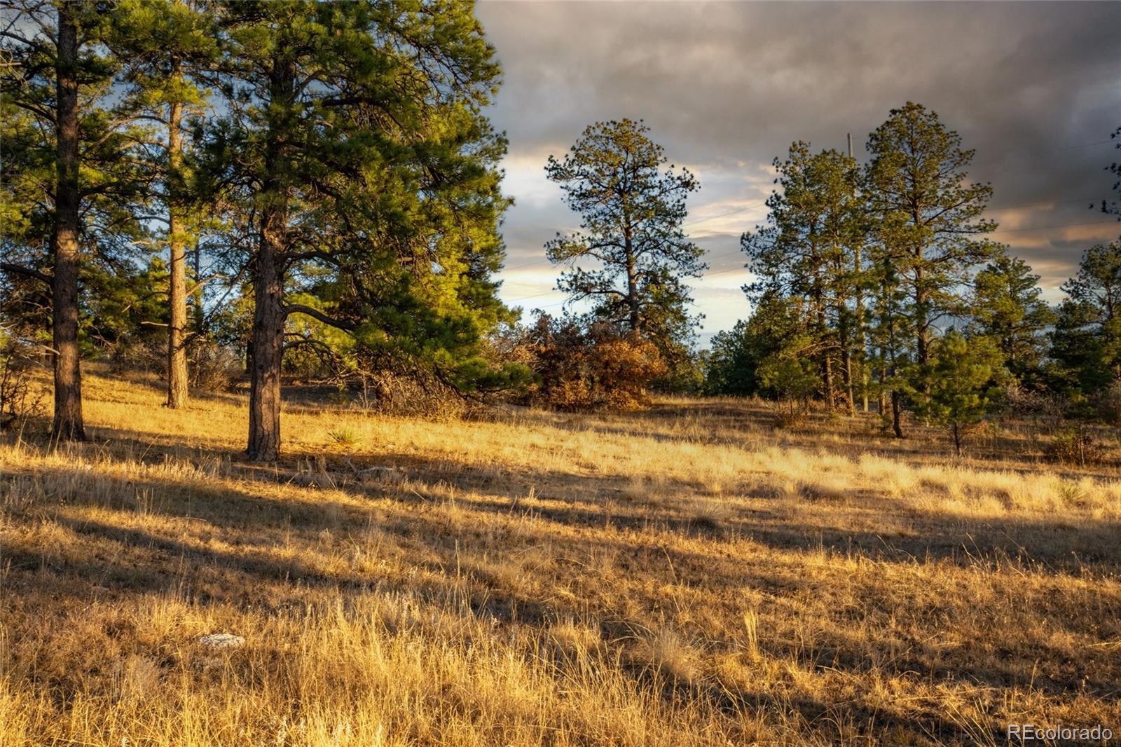 10421 Remmick Ridge Road Parker CO 80134