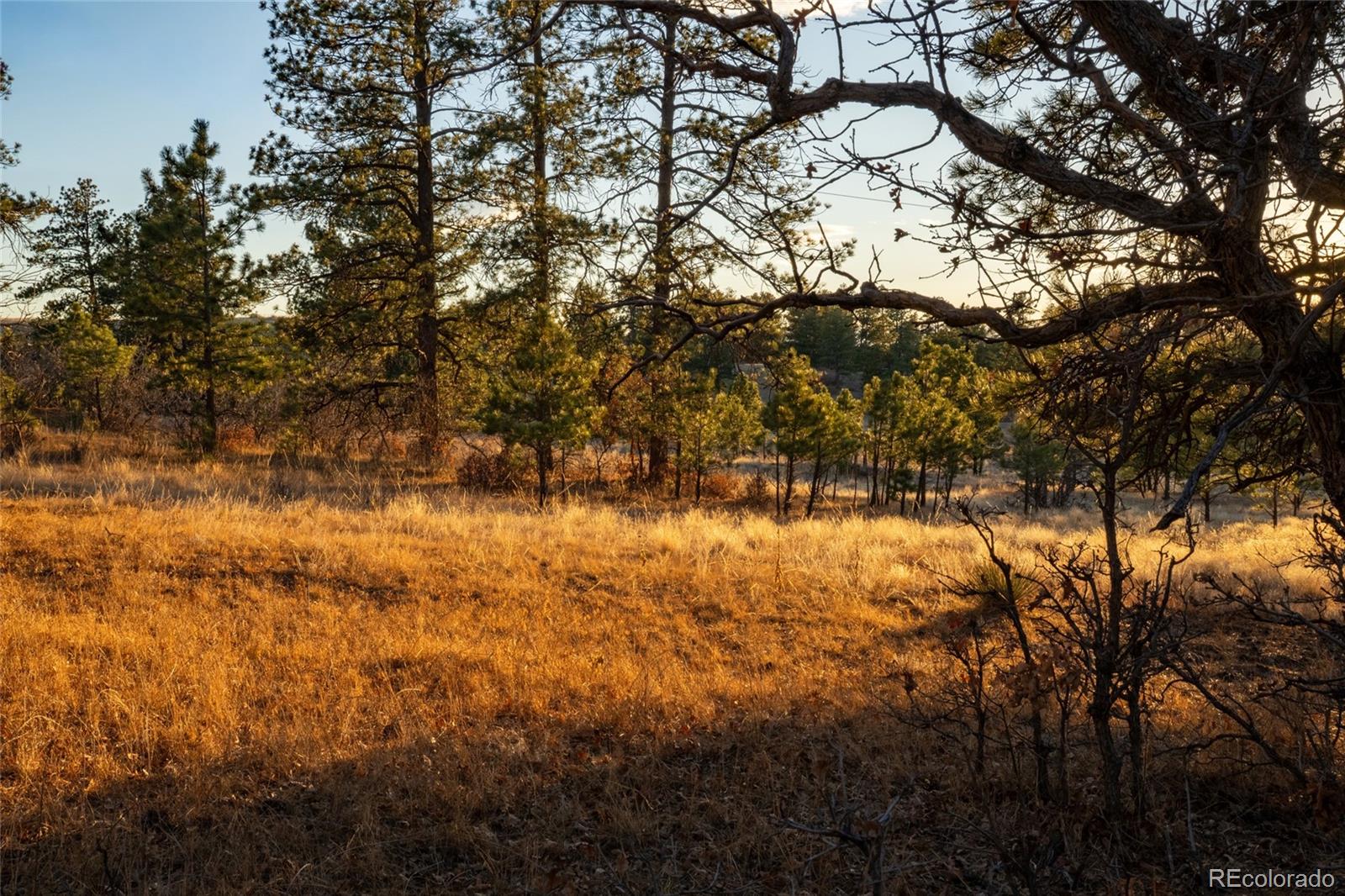 10421 Remmick Ridge Road Parker CO 80134
