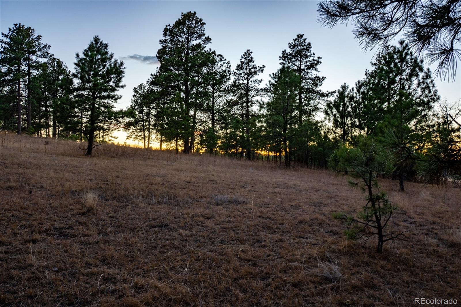 10421 Remmick Ridge Road Parker CO 80134