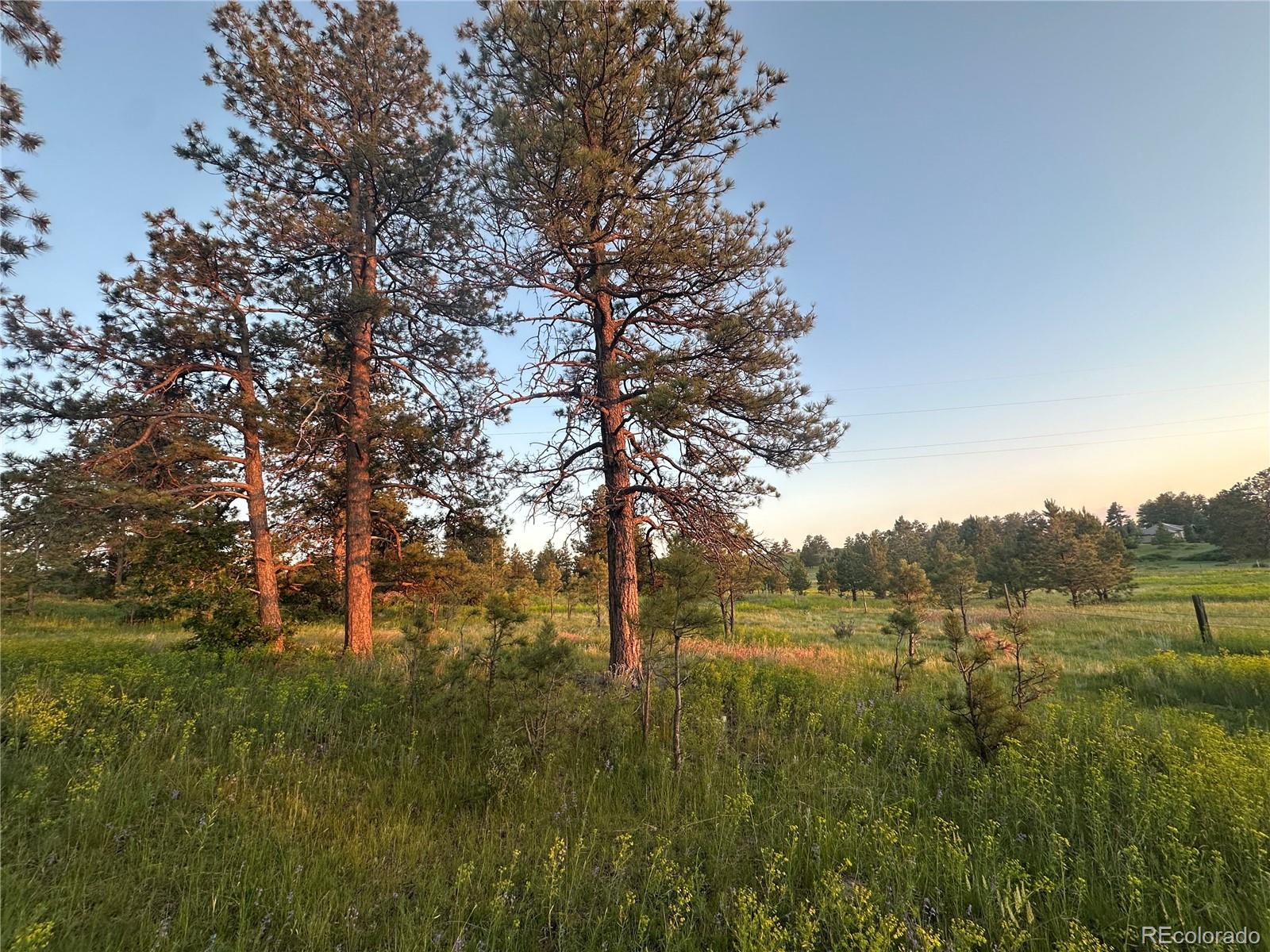 10421 Remmick Ridge Road Parker CO 80134