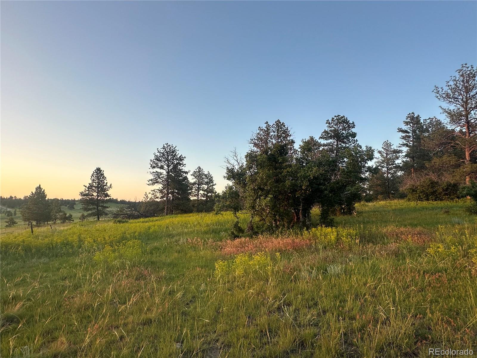 10421 Remmick Ridge Road Parker CO 80134