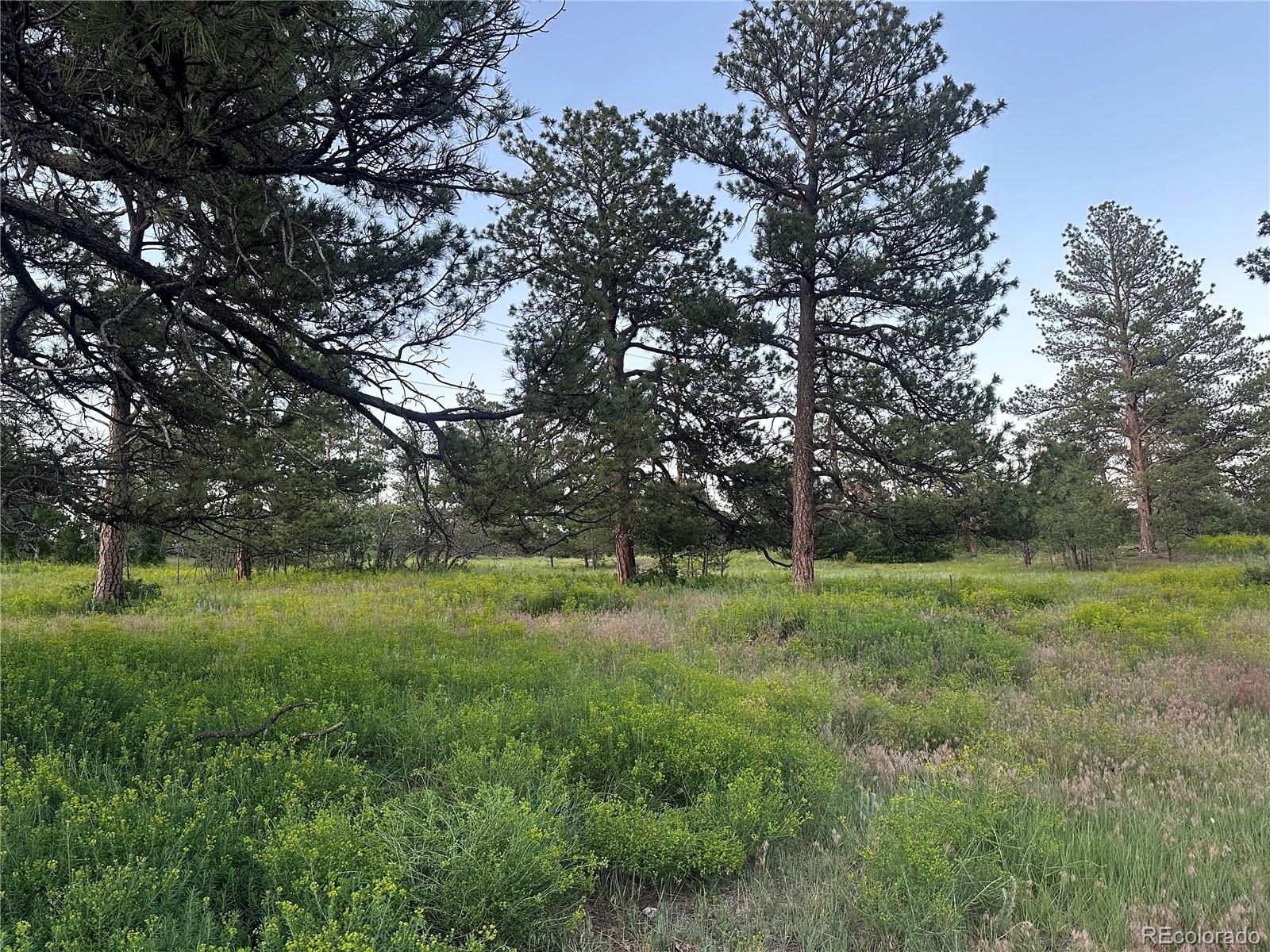 10421 Remmick Ridge Road Parker CO 80134