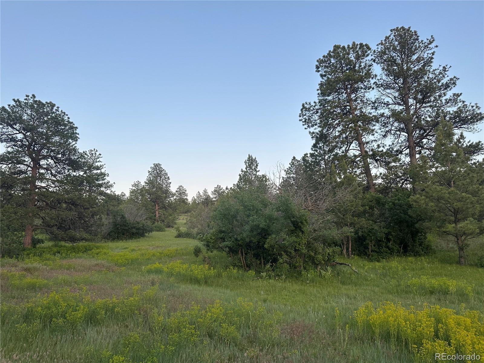 10421 Remmick Ridge Road Parker CO 80134
