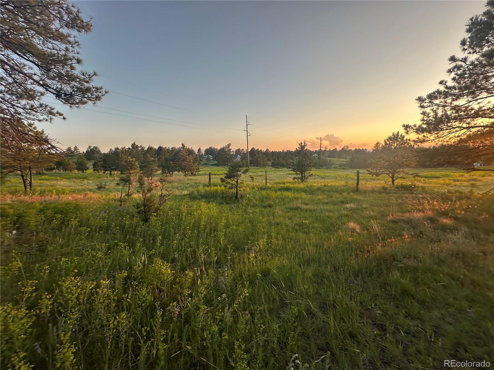 10421 Remmick Ridge Road Parker CO 80134