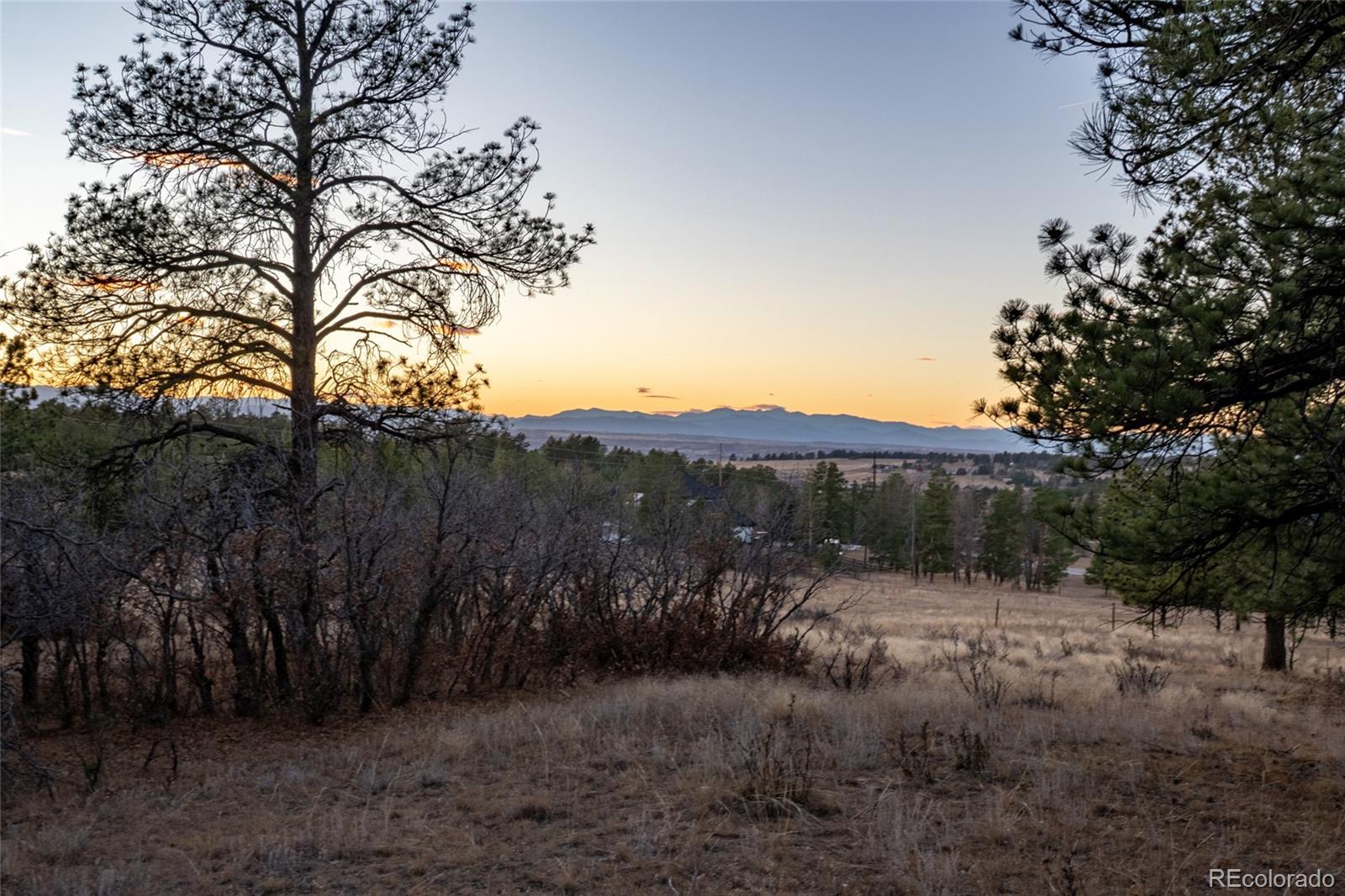 10421 Remmick Ridge Road Parker CO 80134