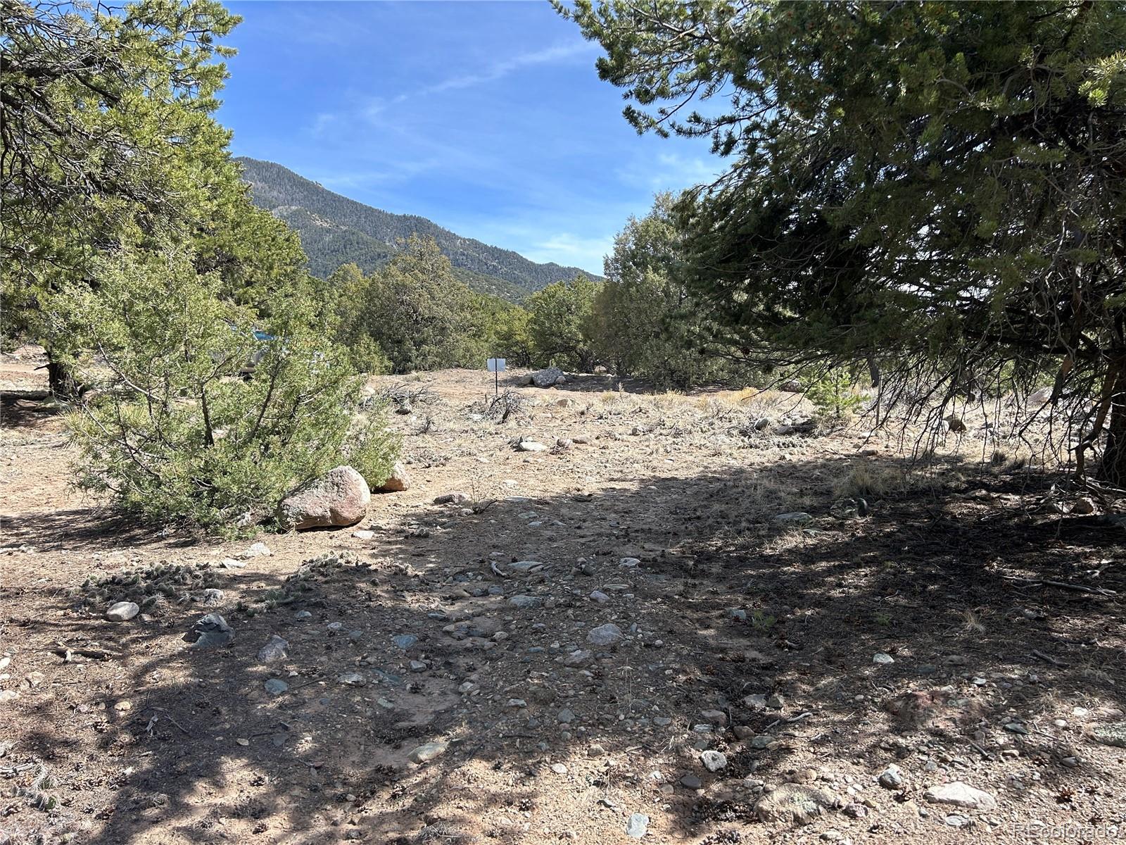 3545 Fallen Tree Place Crestone CO 81131