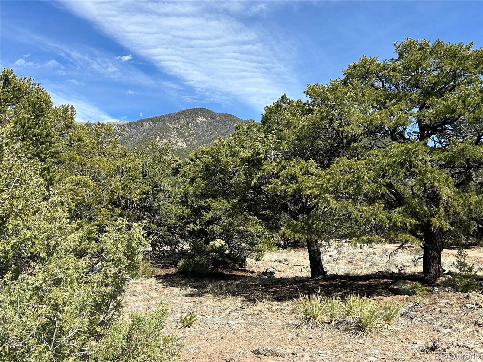 3545 Fallen Tree Place Crestone CO 81131