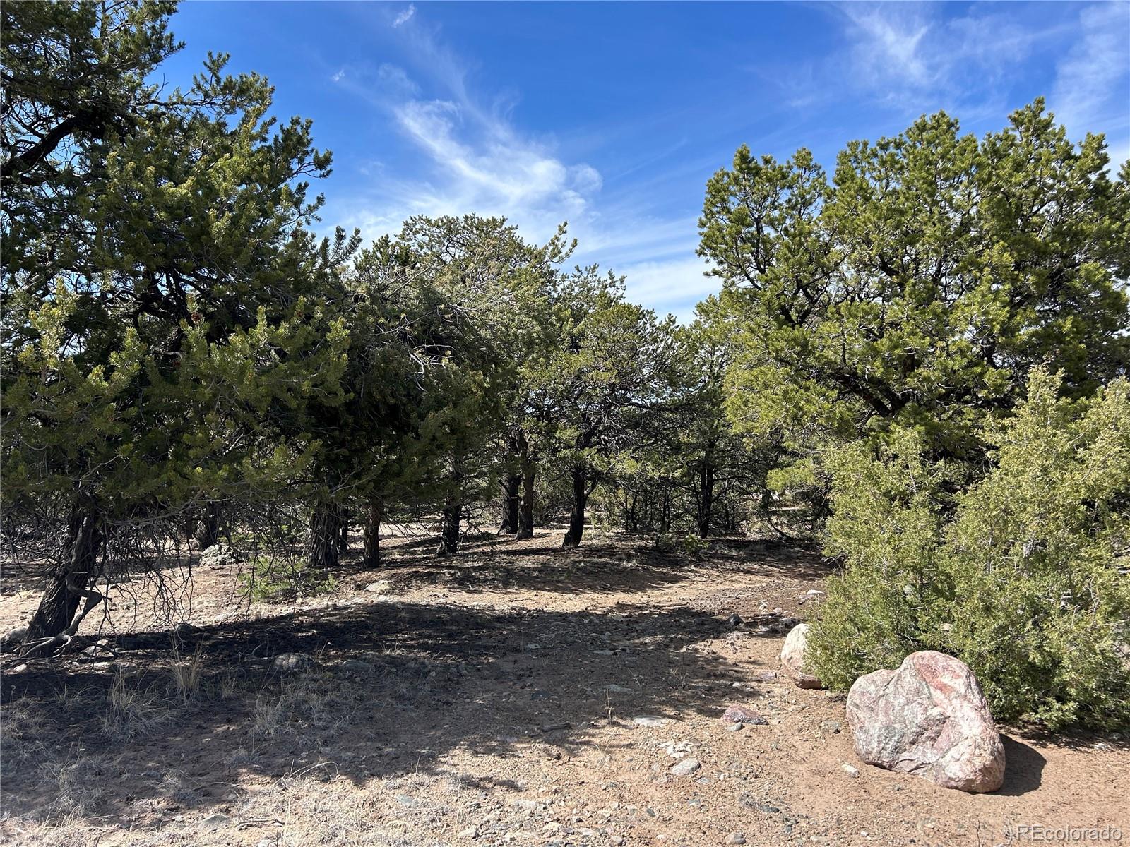 3545 Fallen Tree Place Crestone CO 81131