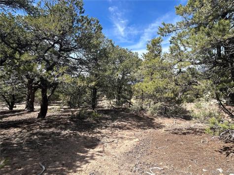 3545 Fallen Tree Place Crestone CO 81131