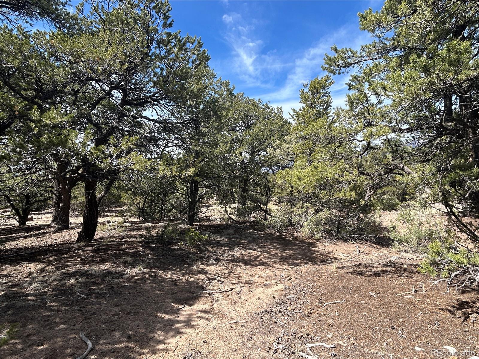 3545 Fallen Tree Place Crestone CO 81131