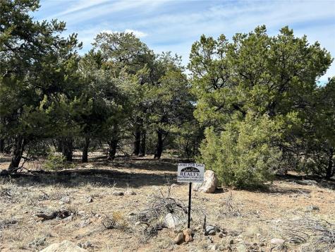 3545 Fallen Tree Place Crestone CO 81131