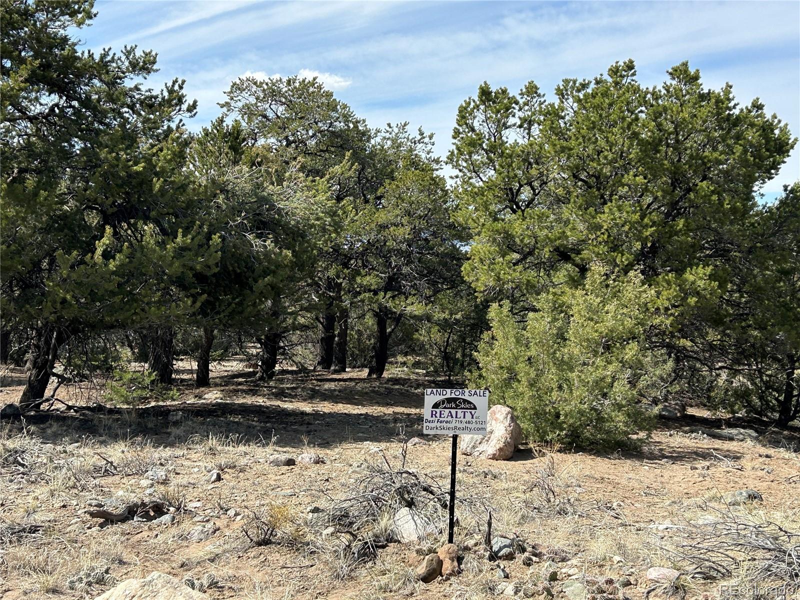 3545 Fallen Tree Place Crestone CO 81131