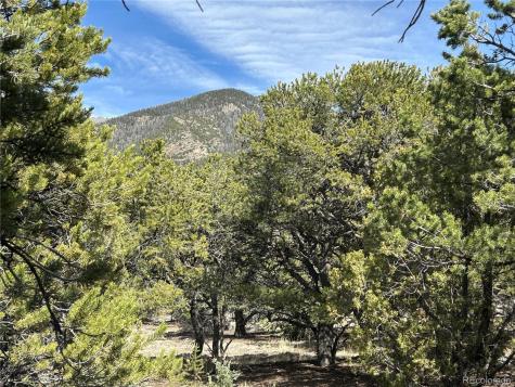 3545 Fallen Tree Place Crestone CO 81131