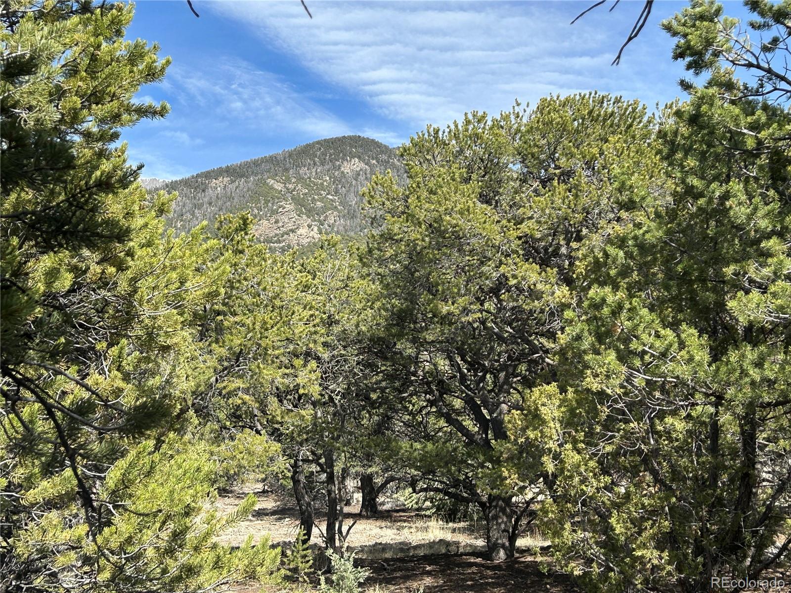 3545 Fallen Tree Place Crestone CO 81131