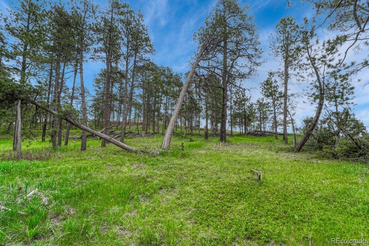 01 Wyandott Colorado Springs CO 80908