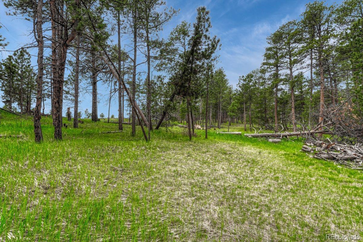 01 Wyandott Colorado Springs CO 80908