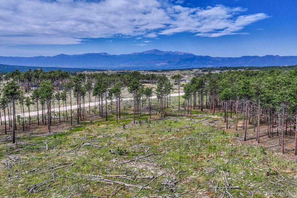 01 Wyandott Colorado Springs CO 80908