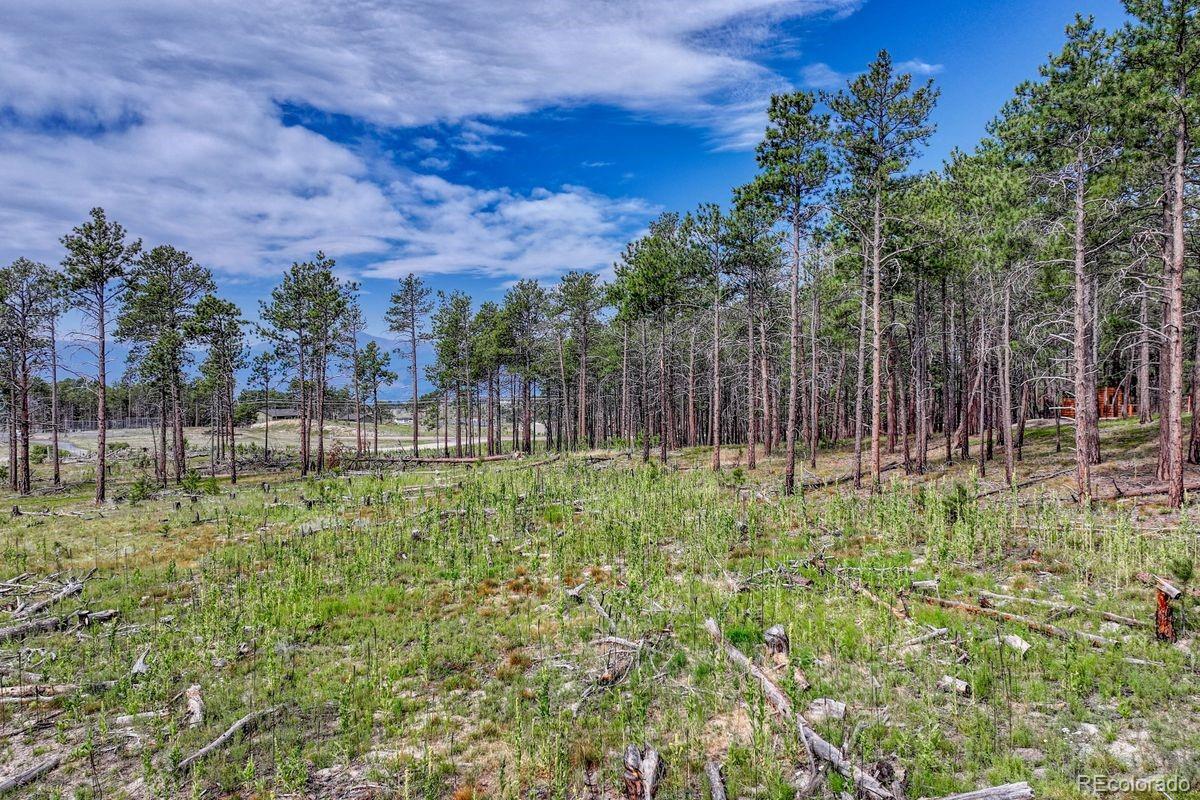 01 Wyandott Colorado Springs CO 80908