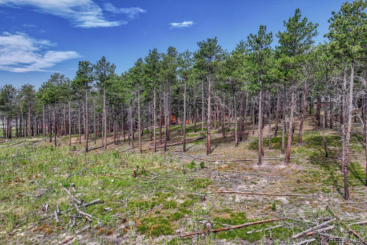 01 Wyandott Colorado Springs CO 80908