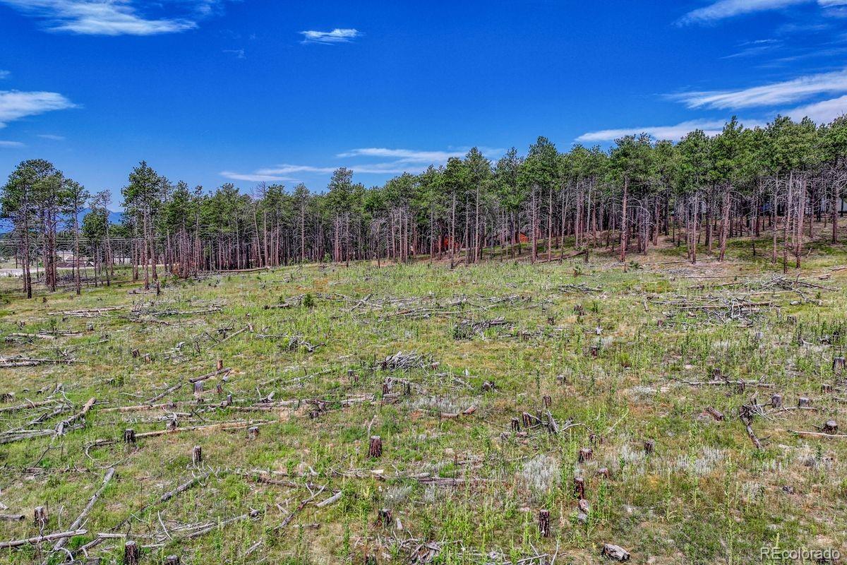 01 Wyandott Colorado Springs CO 80908