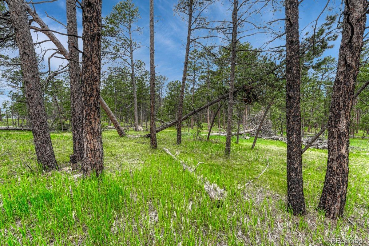 01 Wyandott Colorado Springs CO 80908