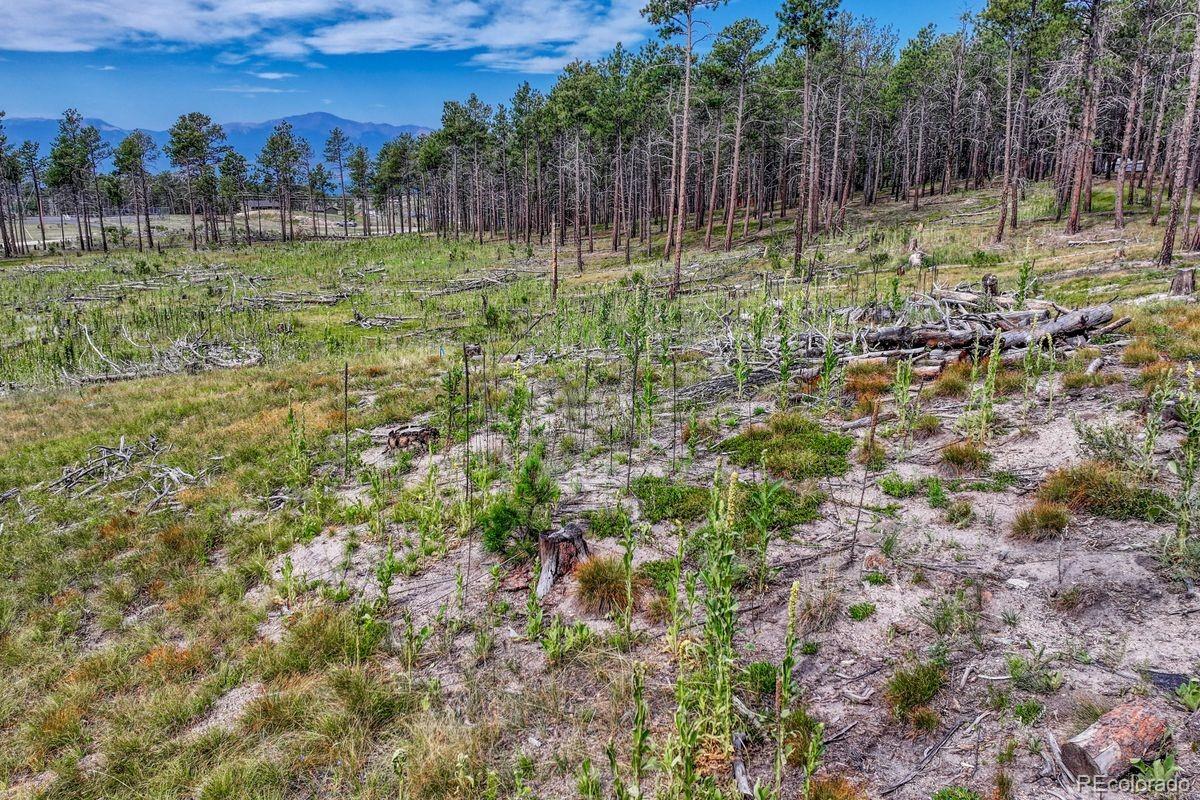 01 Wyandott Colorado Springs CO 80908