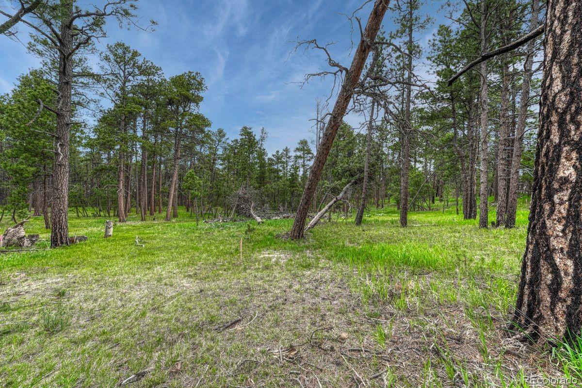 01 Wyandott Colorado Springs CO 80908